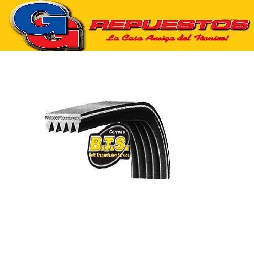 CORREA POLY V 4PJ - 1235  NACIONALES BTS