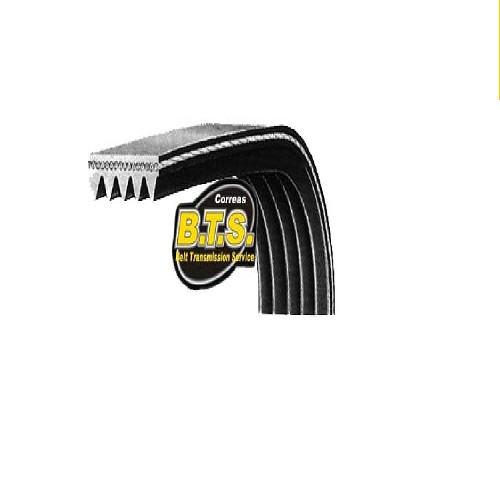 CORREA POLY V 5PJ - 1115 NACIONALES BTS